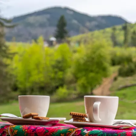Bialy Mis Art & Design * Zakopane