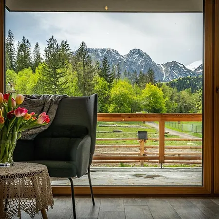 Bialy Mis Art & Design Apartment