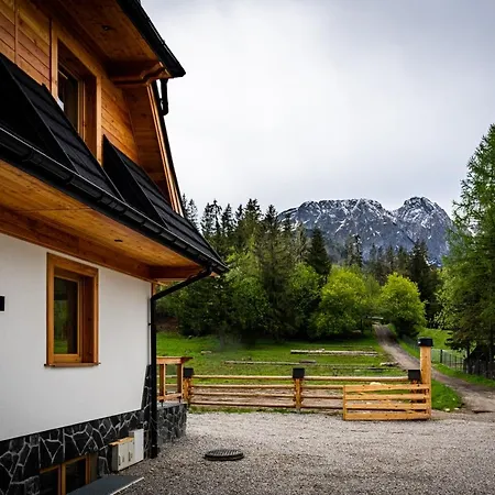 Bialy Mis Art & Design * Zakopane