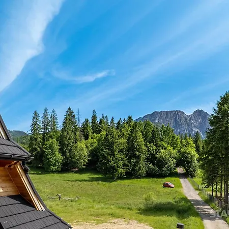 Bialy Mis Art & Design