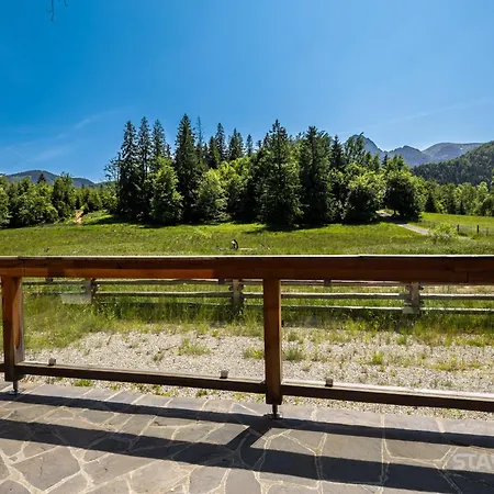 Bialy Mis Art & Design זקופאנה