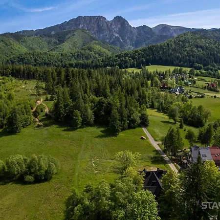 Bialy Mis Art & Design